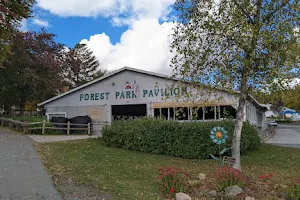 Forest Park Pavilion image