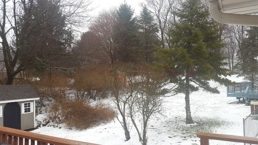 Skateboard Shop «Original Skateboards», reviews and photos, 56 Paterson Ave # 7, Newton, NJ 07860, USA