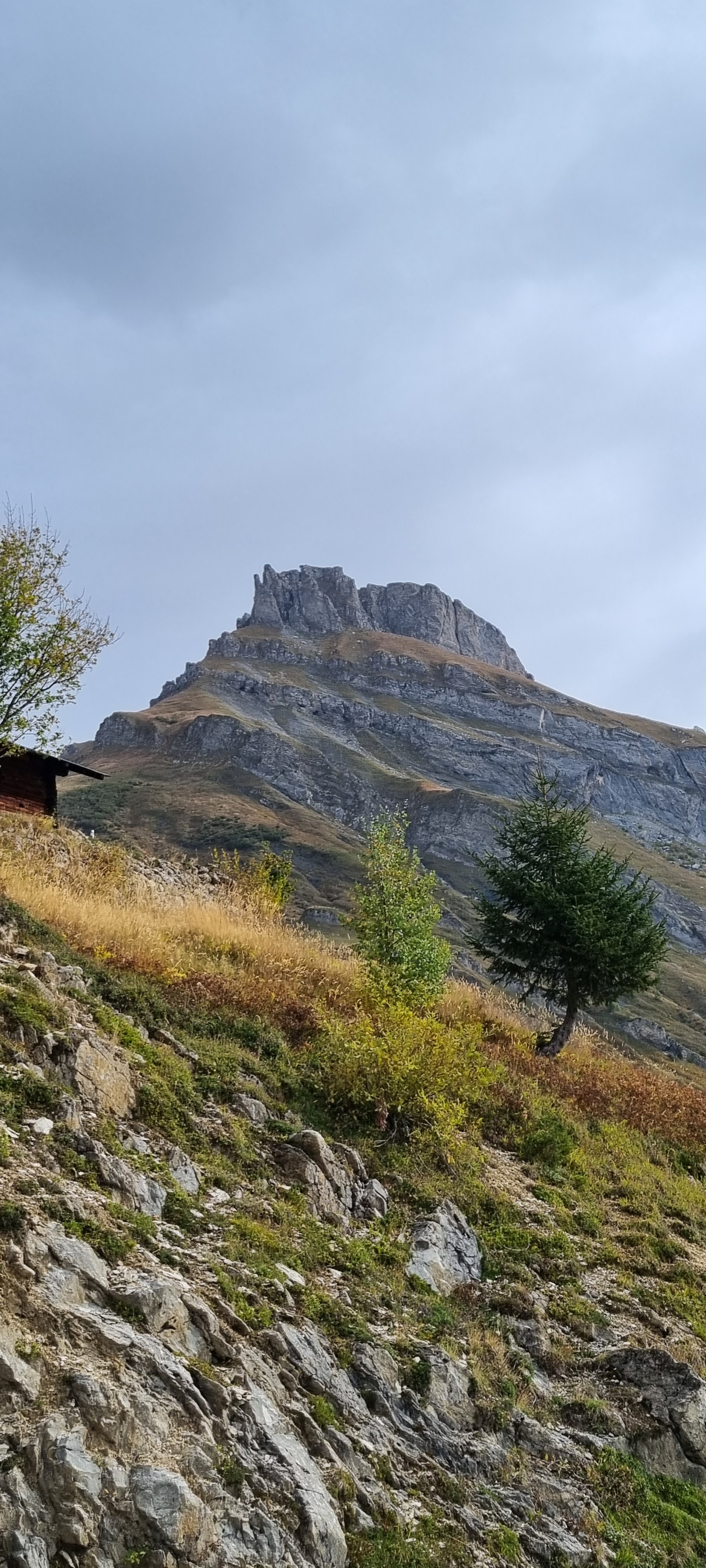 Photo n° 10 de l'avis de Isabelle.a fait le 26/10/2023 à 18:39