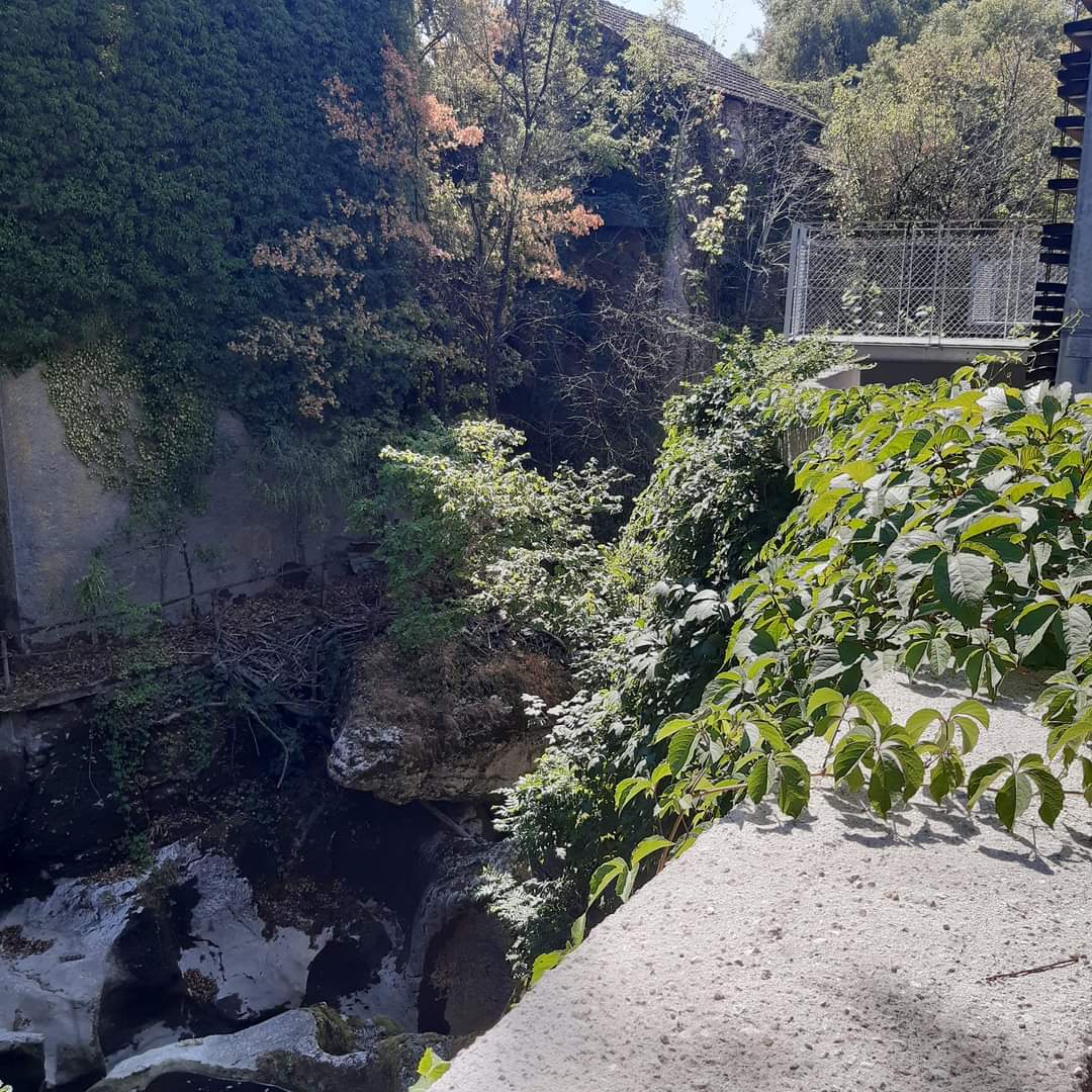 Photo n° 2 de l'avis de Anne.i fait le 13/08/2022 à 16:33