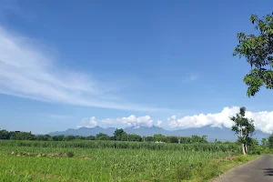 Kantor Desa Banjarejo Kec Ngariboyo image