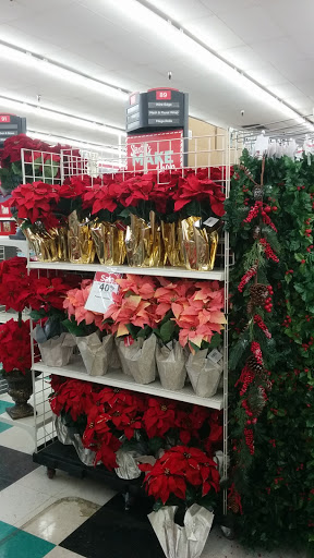 Craft Store «Michaels», reviews and photos, 187 N Fairview Ave, Goleta, CA 93117, USA