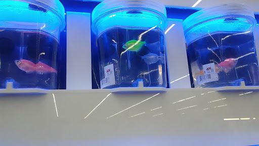 Hardware Store «Proctor Ace Hardware», reviews and photos, 5723 University Blvd W, Jacksonville, FL 32216, USA