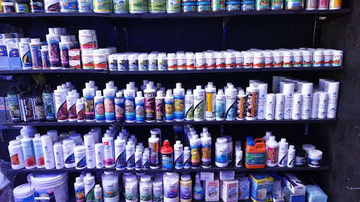 Tropical Fish Store «All Seas Aquariums», reviews and photos, 1165 W 49th St #104, Hialeah, FL 33012, USA
