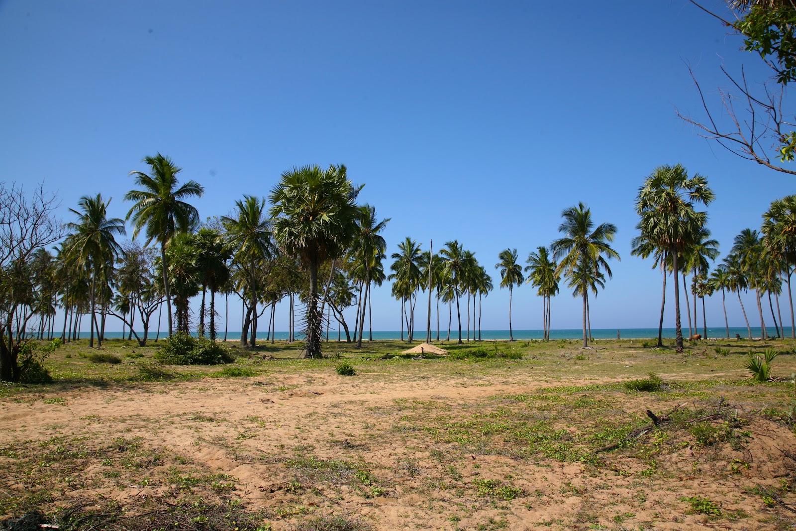 Foto von Palchenai Beach befindet sich in natürlicher umgebung