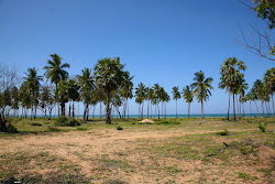 Foto von Palchenai Beach befindet sich in natürlicher umgebung