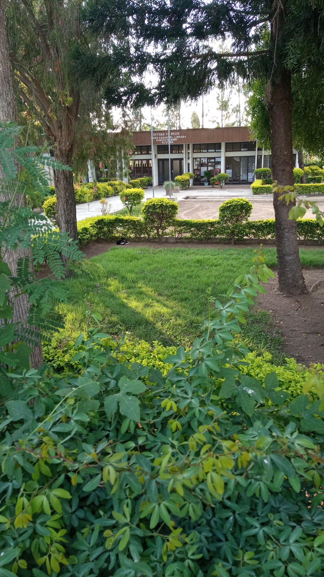 Tanzania Library