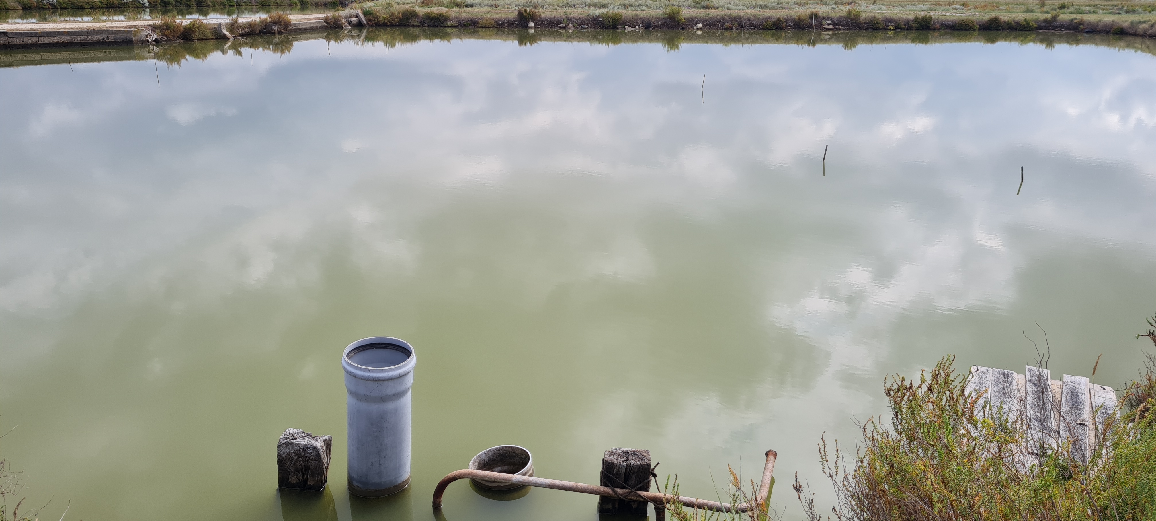 Photo n° 2 de l'avis de Nicolas. fait le 13/09/2021 à 14:27