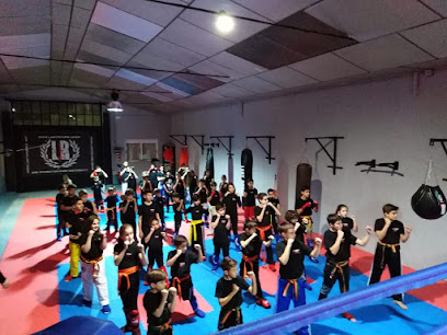 Kickboxing El Templo - C/ La Pinilla, 18, 37188 Salamanca, Spain