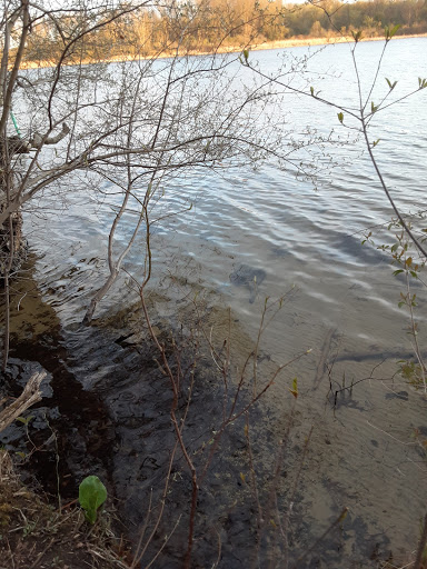 Bird Watching Area «Haehnle Sanctuary», reviews and photos, Seymour Rd, Pleasant Lake, MI 49272, USA