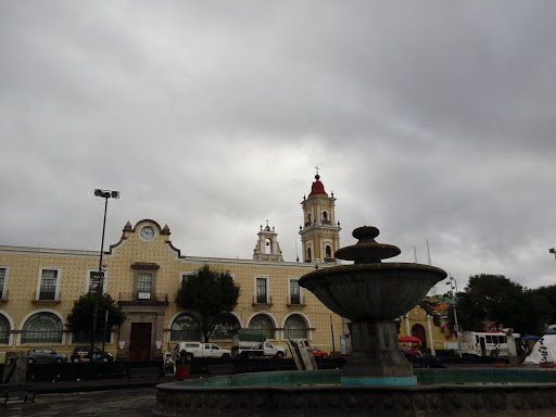 Free museums in Toluca de Lerdo