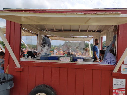 Tourist Attraction «Sunflower Maze», reviews and photos, South St, Middlefield, CT 06455, USA