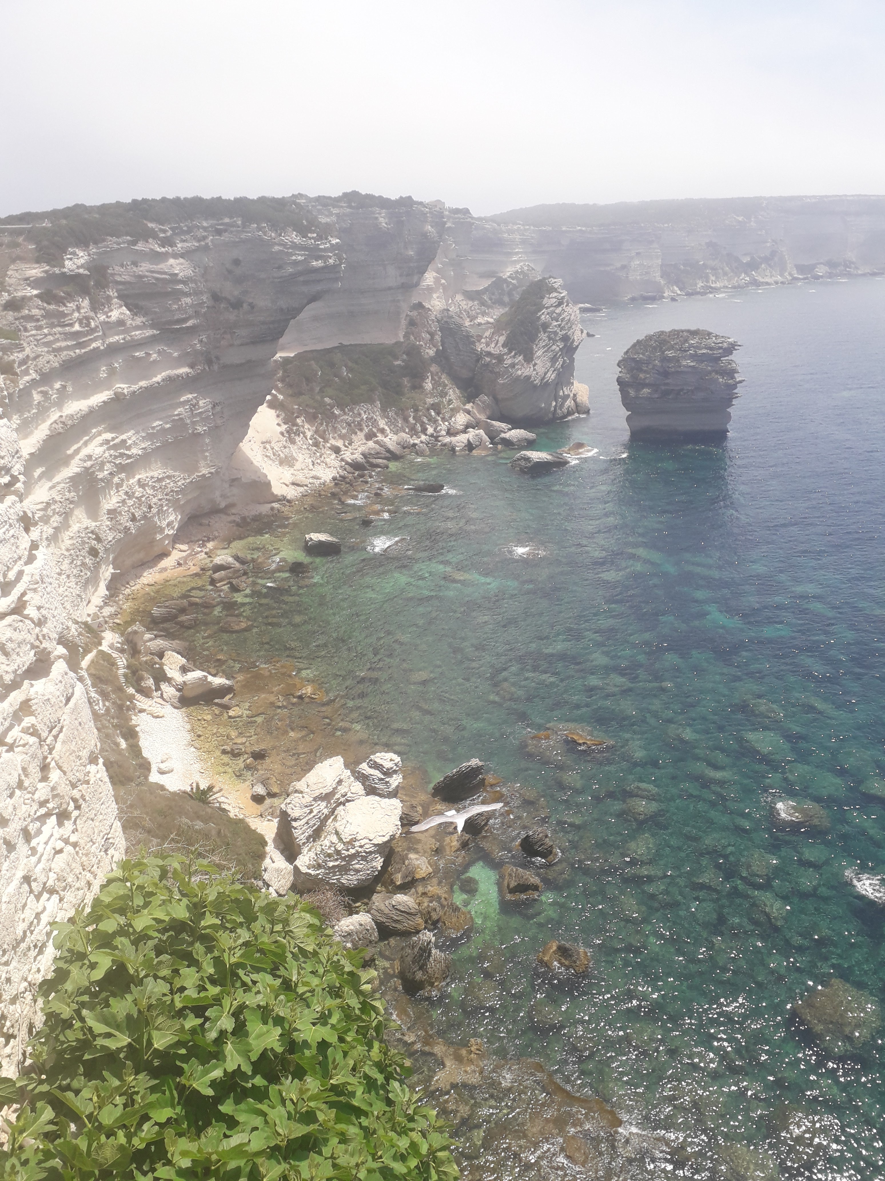 Photo n° 16 de l'avis de Jennifer.i fait le 16/06/2019 à 20:07