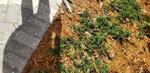 Amusement Park «Gilbert Samson Oceanfront Park», reviews and photos, 17425 Collins Ave, Sunny Isles Beach, FL 33160, USA