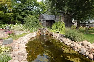Stone Cottage Gardens image