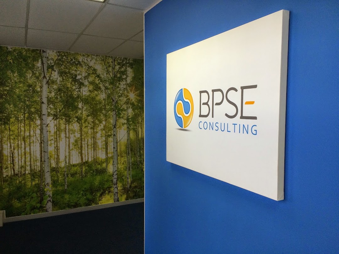 BPSE Consulting South Africa