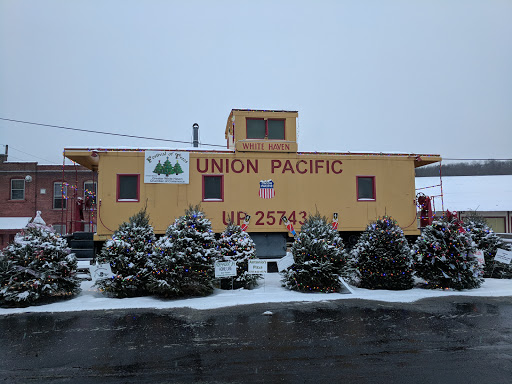White Haven Market Inc, 501 Main St, White Haven, PA 18661, USA, 