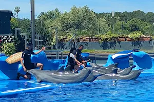 Marineland Mallorca image