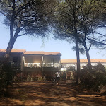 Photo n°1 de l'avis de Damiano.e fait le 17/08/2019 à 12:05 sur le  Residence Gli Oleandri à Vada