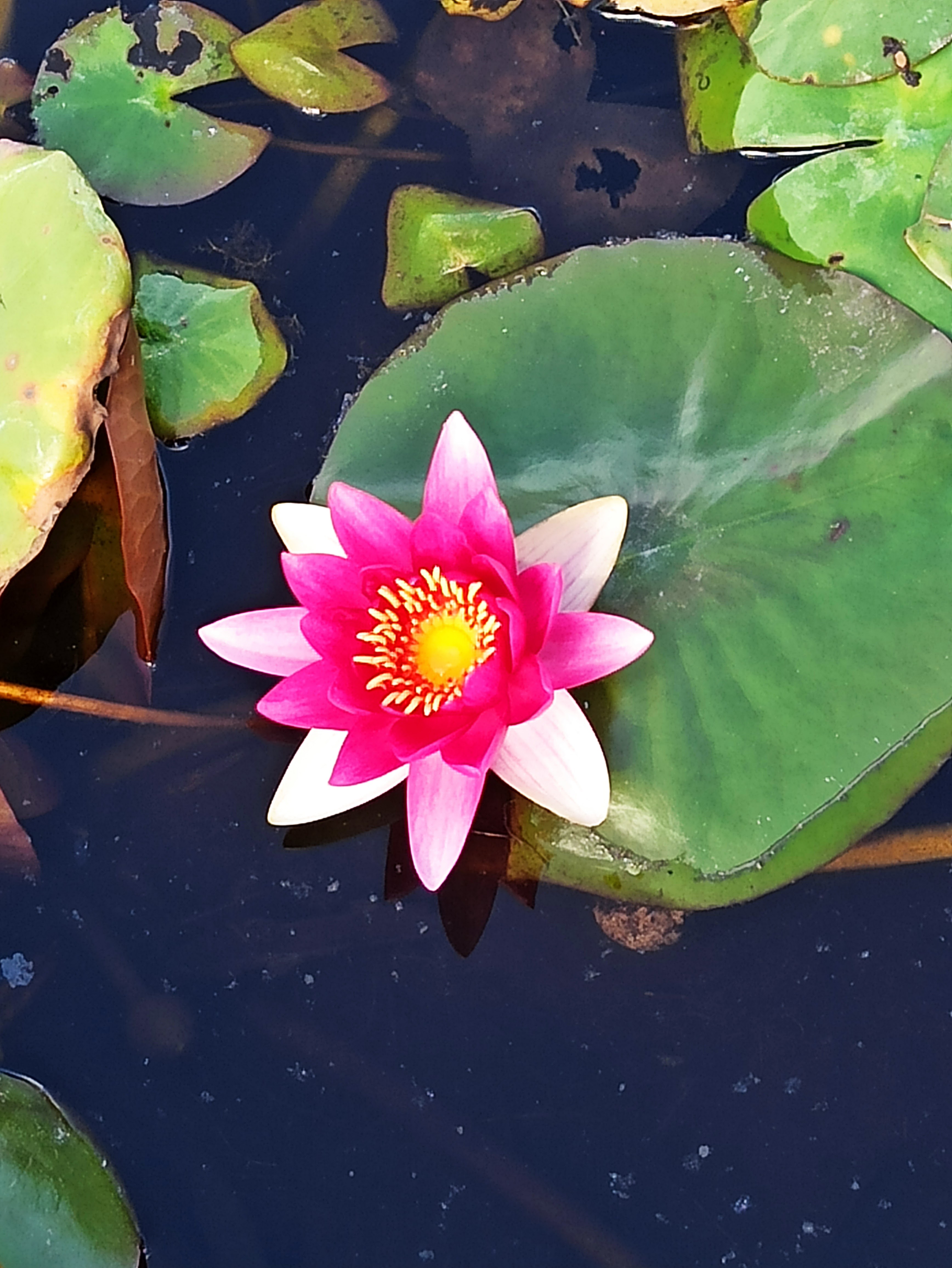 Photo n° 11 de l'avis de Dd.o fait le 22/09/2020 à 13:32