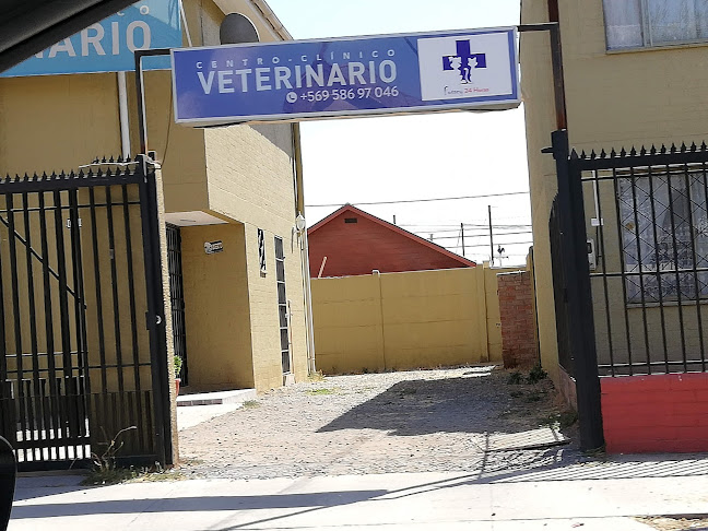 Opiniones de CLÍNICA VETERINARIA FOSSEY 4 PONIENTE en Maipú - Veterinario