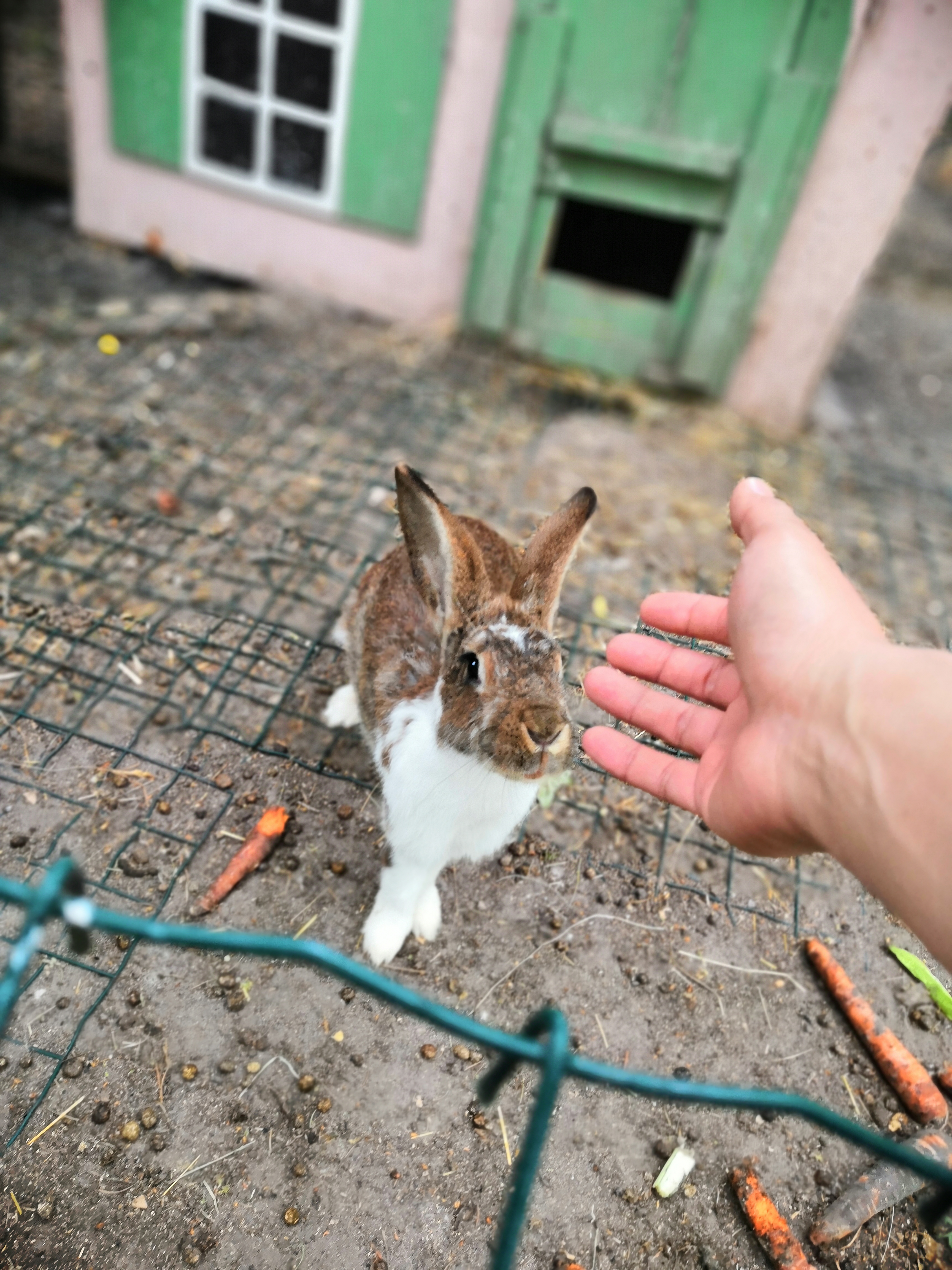 Photo n° 1 de l'avis de Alain.g fait le 31/07/2019 à 21:24