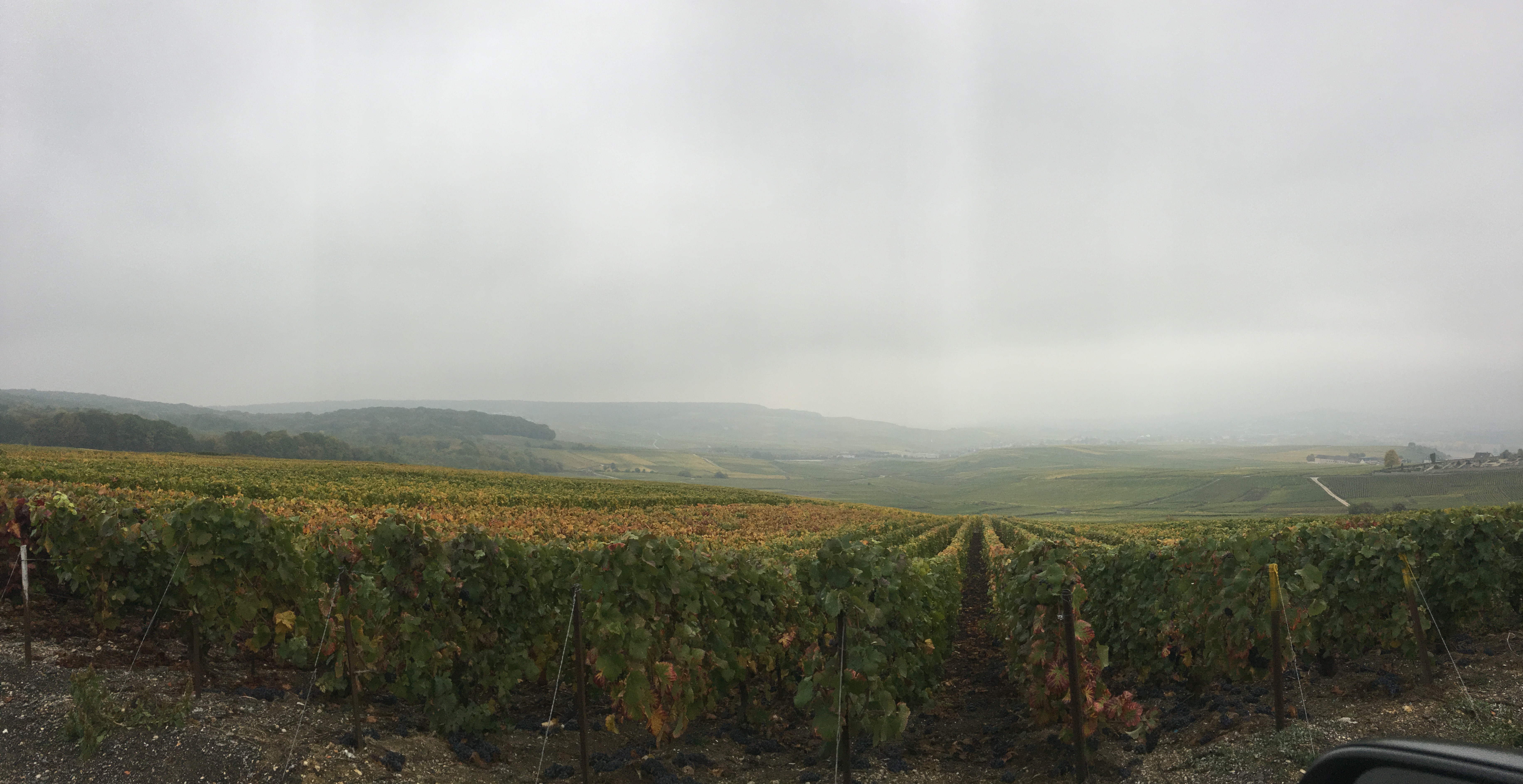 Photo n° 1 de l'avis de Christopher.o fait le 21/08/2019 à 17:01