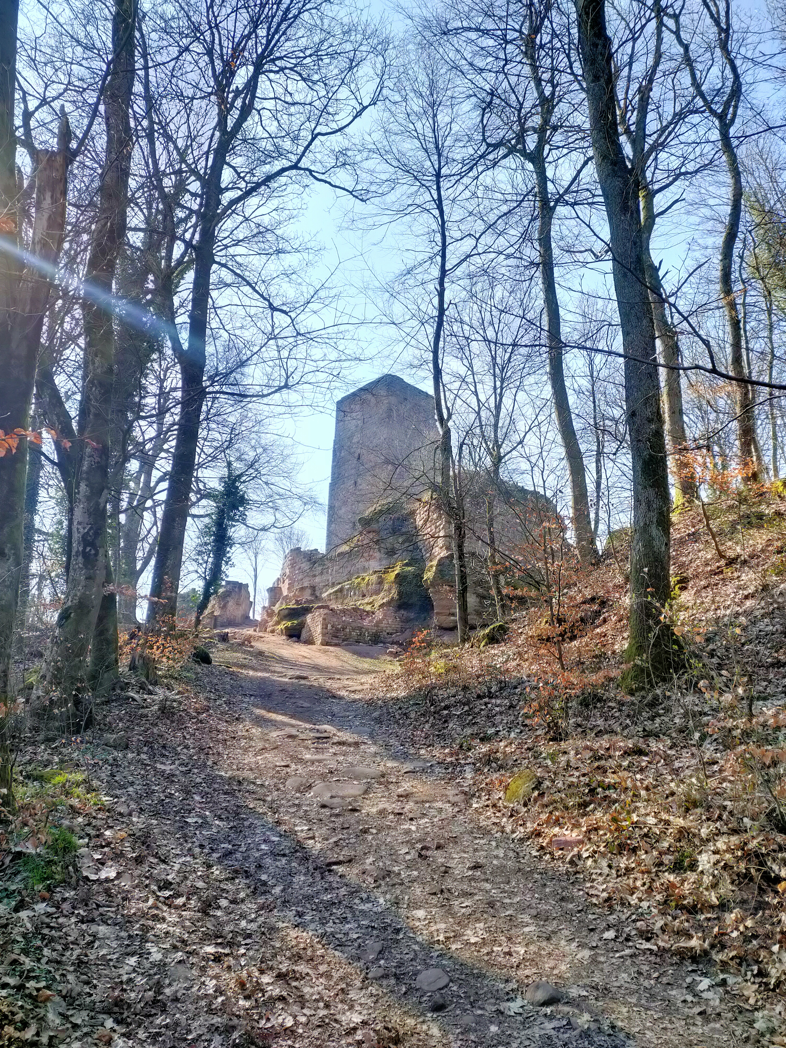 Photo n° 2 de l'avis de Cat67. fait le 07/03/2021 à 14:35