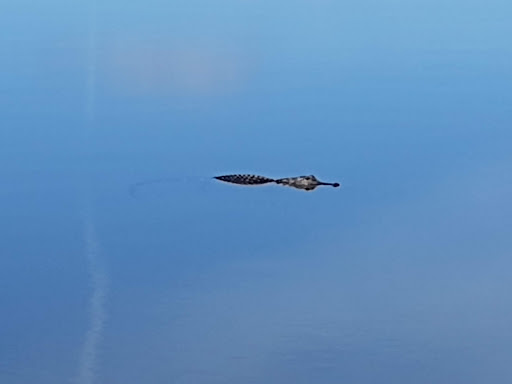 Recreation Center «Revolution Off Road», reviews and photos, 4000 FL-33, Clermont, FL 34714, USA