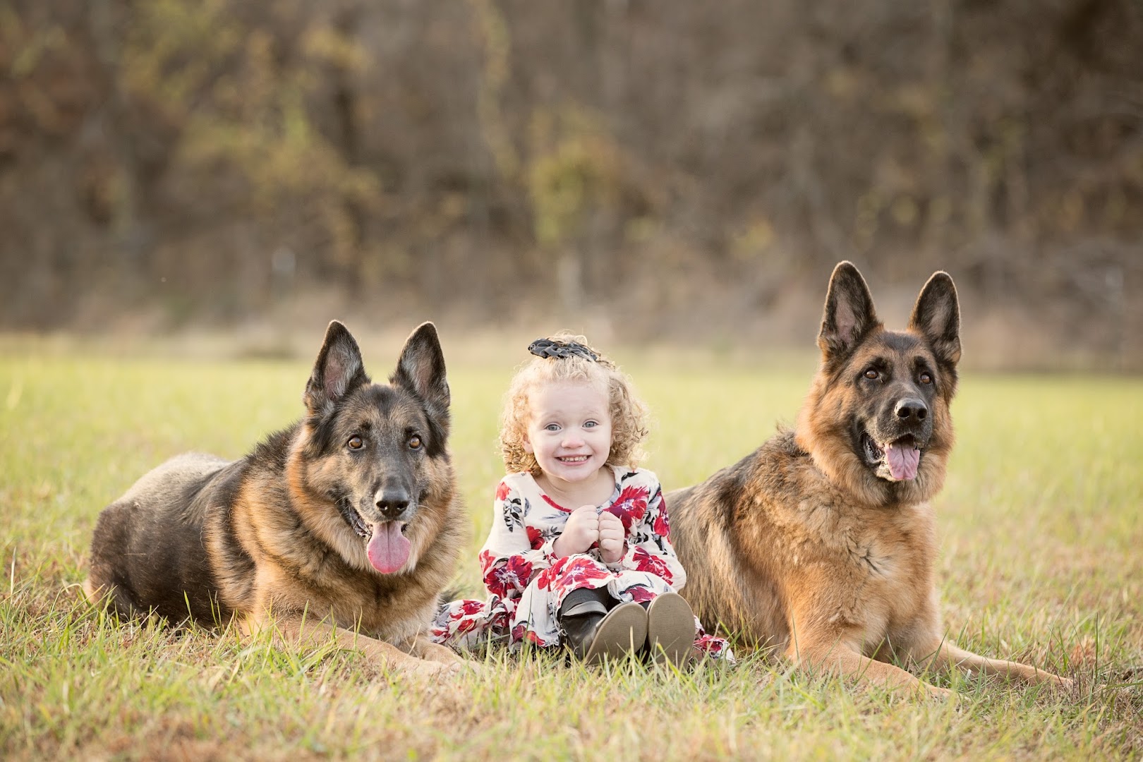 Dog Obedience Group