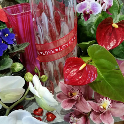 Florist «The Crimson Petal Inc.», reviews and photos, 160 Needham St, Newton, MA 02464, USA