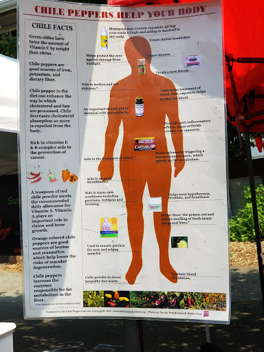 Park «Ballard Commons Park», reviews and photos, 5701 22nd Ave NW, Seattle, WA 98107, USA