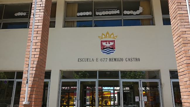 Opiniones de Escuela E-677 Remigio Castro Aburto en Coronel - Escuela