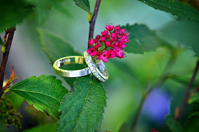 Montreal Wedding Rings