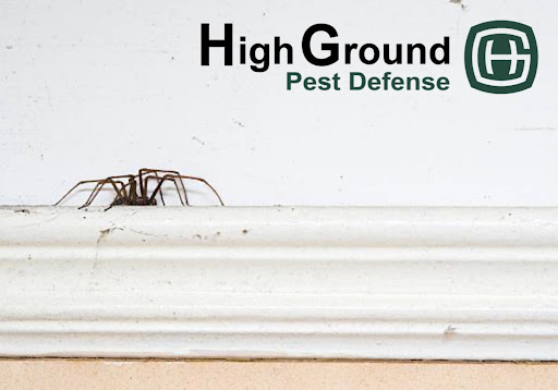 HighGround Pest Defense image 6