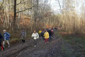 Association Gym Marche Rambouillet image