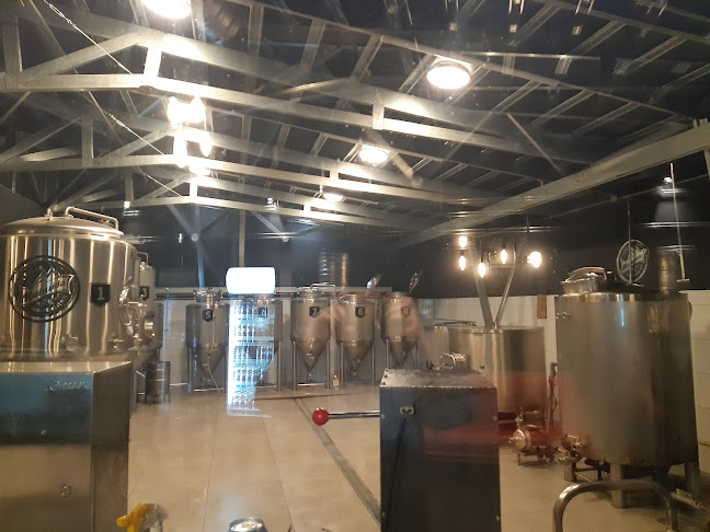 Opiniones de cerveceria mahuida en Lautaro - Oficina de empresa