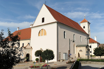 Basilika und Klosterkirche zu Mariä Heimsuchung in Güssing