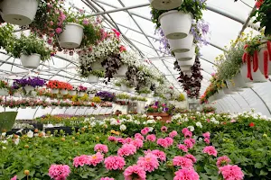 Berlin's Greenhouses image