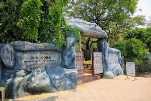 Crocodile Park area image