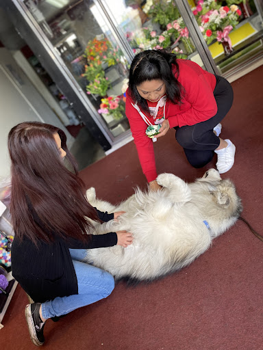 Florist «Guadalajara Flowers», reviews and photos, 32 S White Rd, San Jose, CA 95127, USA