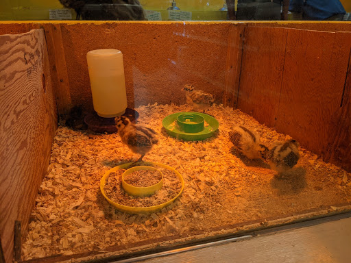 Animal Feed Store «Burns Feed Store», reviews and photos, 29215 SE Orient Dr, Gresham, OR 97080, USA