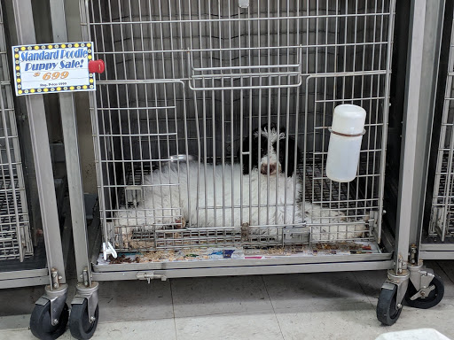 Pet Store «Southside Pet Shop», reviews and photos, 7031 Southside Dr, Louisville, KY 40214, USA