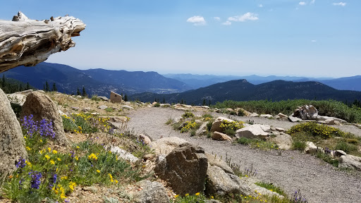 Nature Preserve «Mount Goliath Natural Area», reviews and photos, Mt Evans Rd, Evergreen, CO 80439, USA