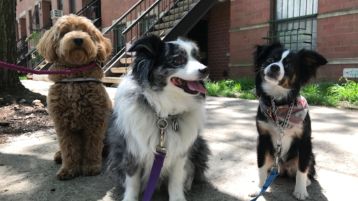 Photo of The Wooffellas