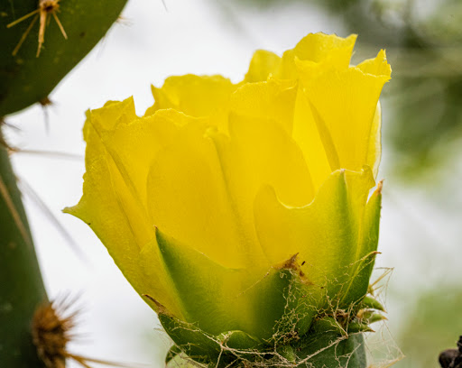 RV Park «Hidden Valley RV Park», reviews and photos, 5706 Coleman Way, Von Ormy, TX 78073, USA