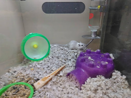 Pet Supply Store «Pet Supplies Plus», reviews and photos, 120 Sara Way, Belle Vernon, PA 15012, USA