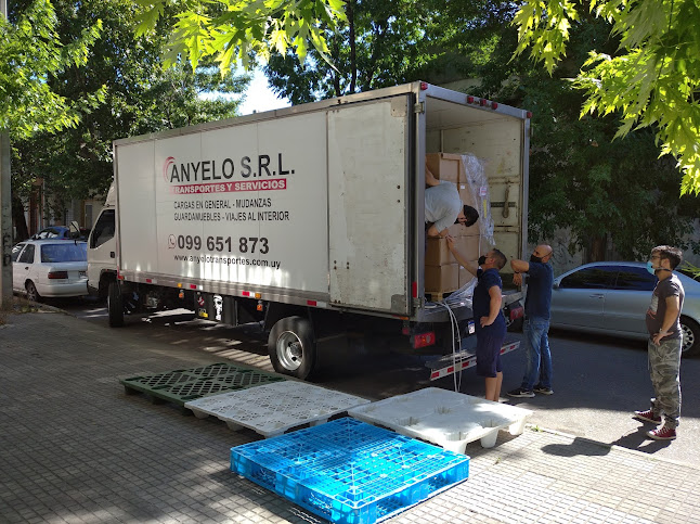 Anyelo Transportes - Fletes, Mudanzas, Almacenaje - Servicio de transporte
