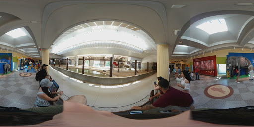 Tourist Attraction «Elephant Trails», reviews and photos, 3001 Connecticut Ave NW, Washington, DC 20008, USA