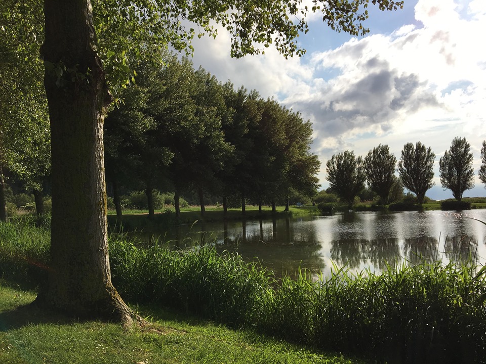 Photo n° 1 de l'avis de JB. fait le 07/06/2019 à 15:21